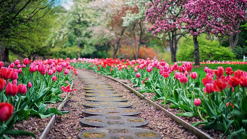 Den Vorgarten fürs neue Jahr planen: Jetzt beginnen